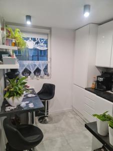 Kuchyňa alebo kuchynka v ubytovaní Apartament przy Kopalni Złota