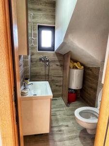 uma pequena casa de banho com lavatório e WC em Divcibarski cardak em Divčibare