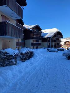 Appartement 2 pièces pieds des pistes terrasse face à la montagne under vintern