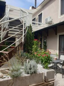 Zahrada ubytování B&B Solferino