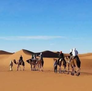Fotografie z fotogalerie ubytování Chegaga desert Trips camp v destinaci Mhamid