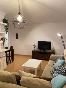 a living room with a couch and a tv at Ponte Canedo in Ourense