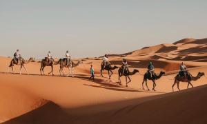 Fotografie z fotogalerie ubytování Chegaga desert Trips camp v destinaci Mhamid