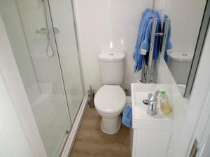 a bathroom with a shower and a toilet and a sink at The Staithe by the Canal. in Lancaster