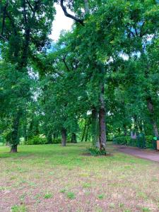 un gruppo di alberi in un parco con marciapiede di Appartement dans joli village de vacances 47150 a Monflanquin