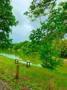 a bench sitting in the grass next to a river at Appartement dans joli village de vacances 47150 in Monflanquin