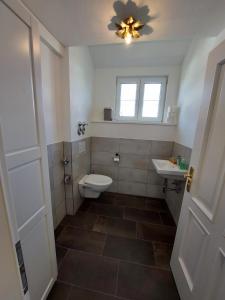 uma casa de banho com um WC, um lavatório e uma janela em Ferienwohnung im Westallgäu em Bad Wurzach