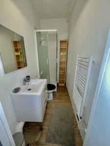 uma casa de banho com um lavatório branco e um WC. em Résidence Les Pâquerettes N3 em Le Mont-Dore