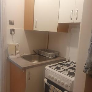 a small kitchen with a sink and a stove at Living Room Economic in Tarnów