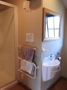 a bathroom with a sink and a shower at 30 St James Avenue in Hanmer Springs