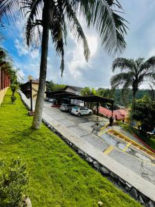 a view of a parking lot with palm trees at Residencial Vista Bela in Bombinhas +188 photos