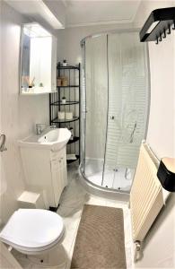 a bathroom with a shower and a toilet and a sink at Cosy Apart Busteni in Buşteni