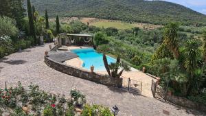 a swimming pool in a garden with a mountain in the background at Villa Le Agavi & Spa in Scarlino