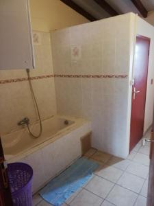een badkamer met een bad in de kamer bij Appartement avec vue sur mer in Bouillante