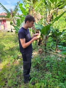 Taman di luar Jay's Guest House II