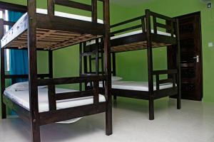 two bunk beds in a room with a green wall at Tulia House Backpackers in Mombasa