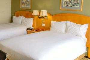 Cama ou camas em um quarto em Holiday Inn - Harare, an IHG Hotel