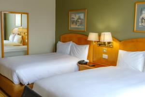 Кровать или кровати в номере Holiday Inn - Harare, an IHG Hotel