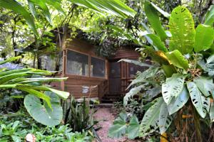 a small wooden cabin in the middle of a forest at Iguana Roost Tourism Gold Standard Fully Equipped two Bedroom Cabin in San Ignacio