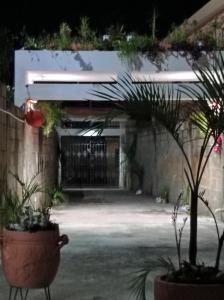 une cour avec des plantes en pot devant un bâtiment dans l'établissement Villa Julirous Rd spa and ApartHotel Camp for vacationers 2 bedrooms, à Boca Chica