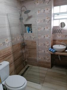 a bathroom with a shower and a toilet and a sink at Crystal Blue Apartments in Nea Kalikratia