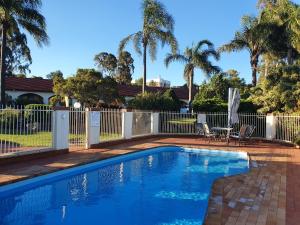 a swimming pool in a yard with a fence and palm trees at McNevins Warwick Motel in Warwick
