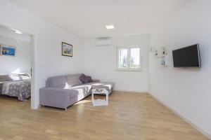 Televízia a/alebo spoločenská miestnosť v ubytovaní Apartments Luka
