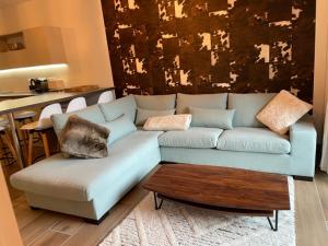 eine Couch in einem Wohnzimmer mit einer Katze drauf in der Unterkunft L' Etoile du Pic in La Mongie