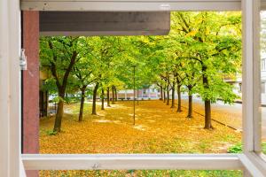 una ventana con vistas a un parque con árboles y hojas en Flats4Rent Delia, en Verona