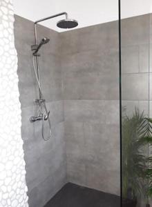 La salle de bains est pourvue d'une douche avec un pommeau de douche. dans l'établissement Villa Marco 176, à Cerexhe-Heuseux