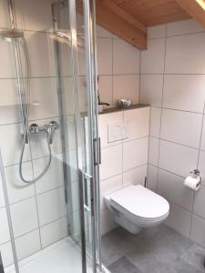 a bathroom with a toilet and a glass shower at Ferienwohnung am Freibad in Schwarzach