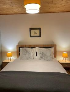 1 dormitorio con 1 cama con almohadas y 2 lámparas en Hill Chalet, en Beliş