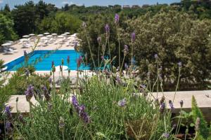 Hotel Villa Pamphili Roma في روما: حديقة بها زهور أرجوانية أمام المسبح
