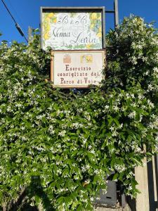 Zahrada ubytování Bed and Breakfast Nonna Loreta