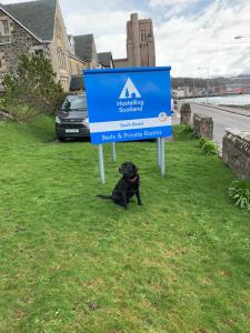 un perro negro sentado en la hierba bajo una señal en Oban Youth Hostel en Oban