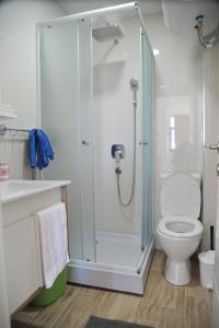 a bathroom with a shower and a toilet at Apartmani Krstojević Kopaonik in Kopaonik