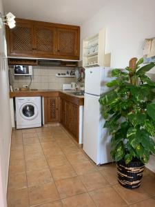 a kitchen with a white refrigerator and a plant at Apartamento La Finca in Mácher