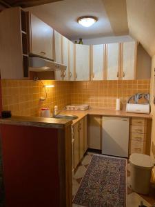 a kitchen with a sink and a counter top at Apartmani Marija in Jahorina