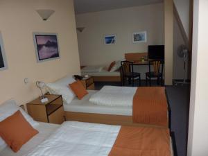 a hotel room with two beds and a table at Pension an der Weisseritz in Dresden