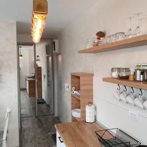 Kuchyňa alebo kuchynka v ubytovaní Apartman Zlatni breg Divčibare