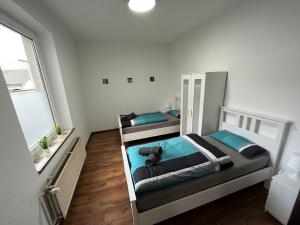 1 dormitorio con 2 literas y un perro en HomesNRW - EG / City / Messe, en Bergisch Gladbach