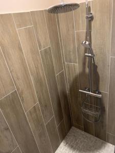 a shower with a wooden wall and a shower head at Gîte Orget in Saint-Macaire
