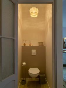 a small bathroom with a toilet and a light at Gîte Orget in Saint-Macaire