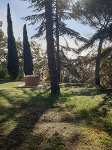 Vonkajšia záhrada v ubytovaní Villa Poggio fagianino