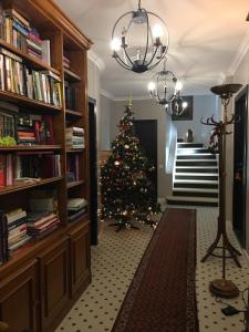 een kerstboom midden in een bibliotheek bij Nant d Ant in Samoëns