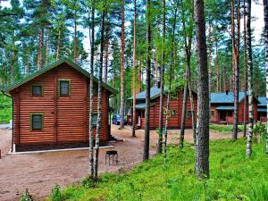 a couple of wooden cabins in a forest at Gromovo Park in Losevo