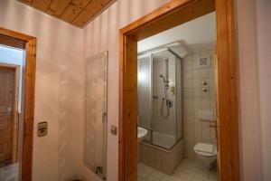 a bathroom with a shower and a toilet and a sink at Berghotel und Restaurant Kräuter Chalet in Furtwangen +27 photos