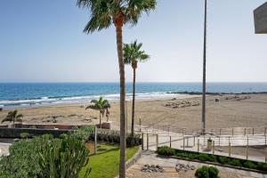 una playa con palmeras y el océano en Apartamentos Los Papagayos en San Agustín