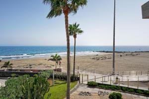 een strand met palmbomen en de oceaan bij Apartamentos Los Papagayos in San Agustin