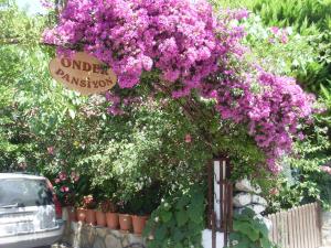 een bos roze bloemen op een hek met een bord bij Onder Pansiyon in Dalyan